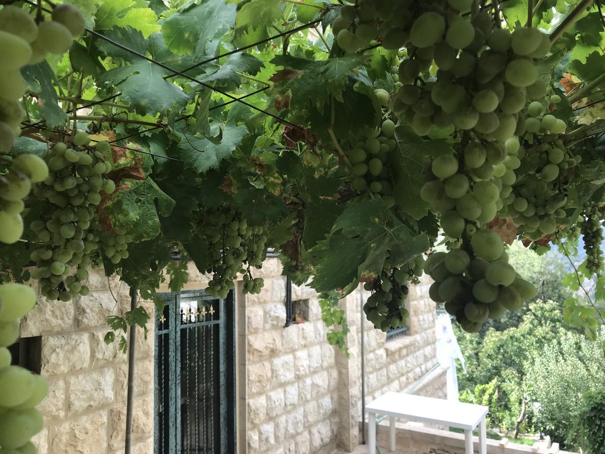 Mresty Guest House Mtolle Εξωτερικό φωτογραφία